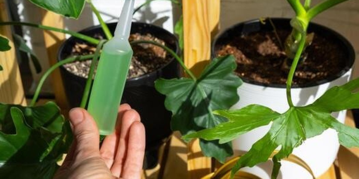 The Future of Farming: Liquid Fertilizers Shaping Sustainable Agriculture Practices